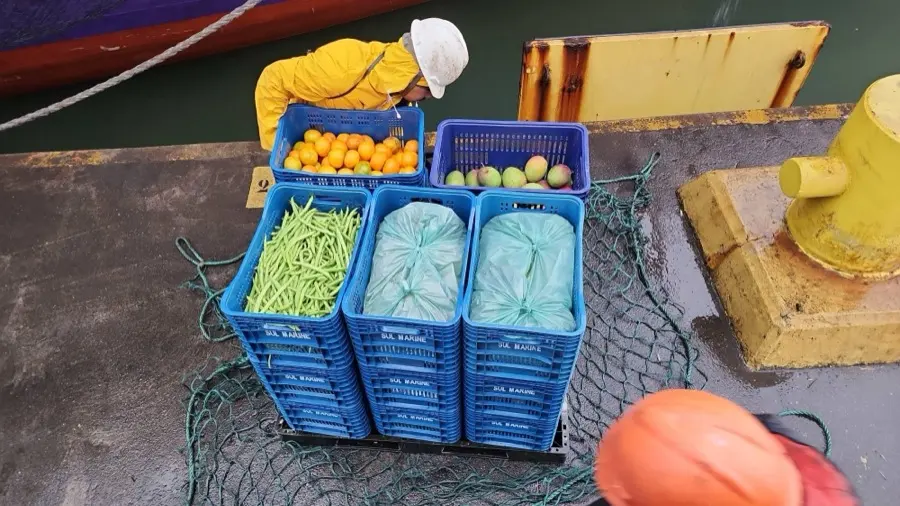 Fresh produce in Sul Marine crates, ready to load